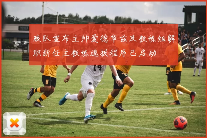 狼队宣布主帅爱德华兹及教练组解职新任主教练选拔程序已启动